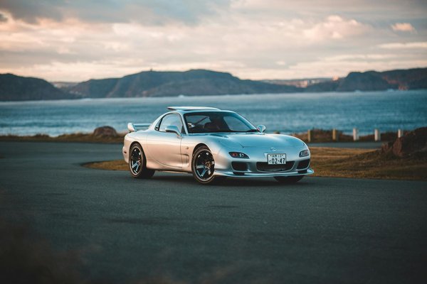 What are the UK guidelines for pet vaccinations?